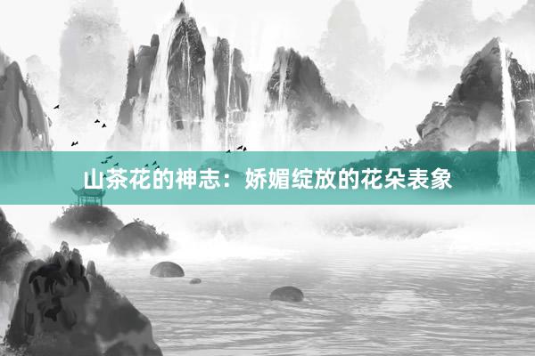 山茶花的神志：娇媚绽放的花朵表象
